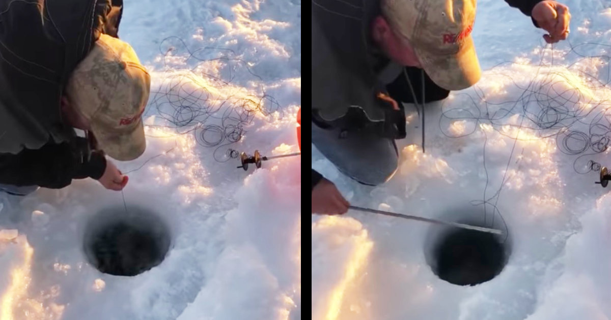 ワカサギかと思ったら 湖の穴釣りでとんでもない大物の魚が釣り上げられる動画が話題に ニコニコニュース