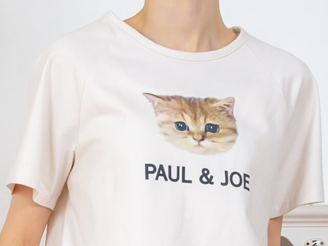 猫のtシャツやパジャマを着てリラックス ポール ジョーから部屋着の新シリーズが誕生 ニコニコニュース