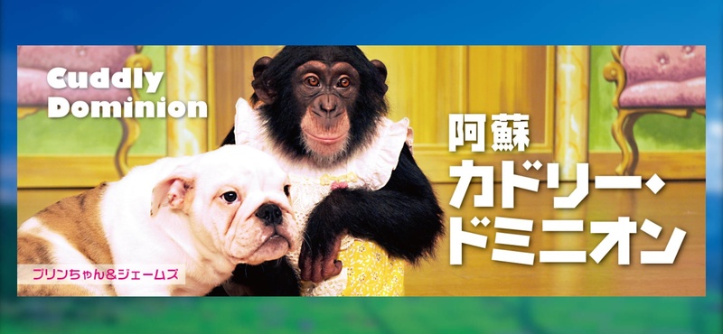 志村どうぶつ園 で16年共演 パンくんやプリンちゃんの動物園が志村けんさんを追悼 あの笑顔を見られないと思うと何と ニコニコニュース