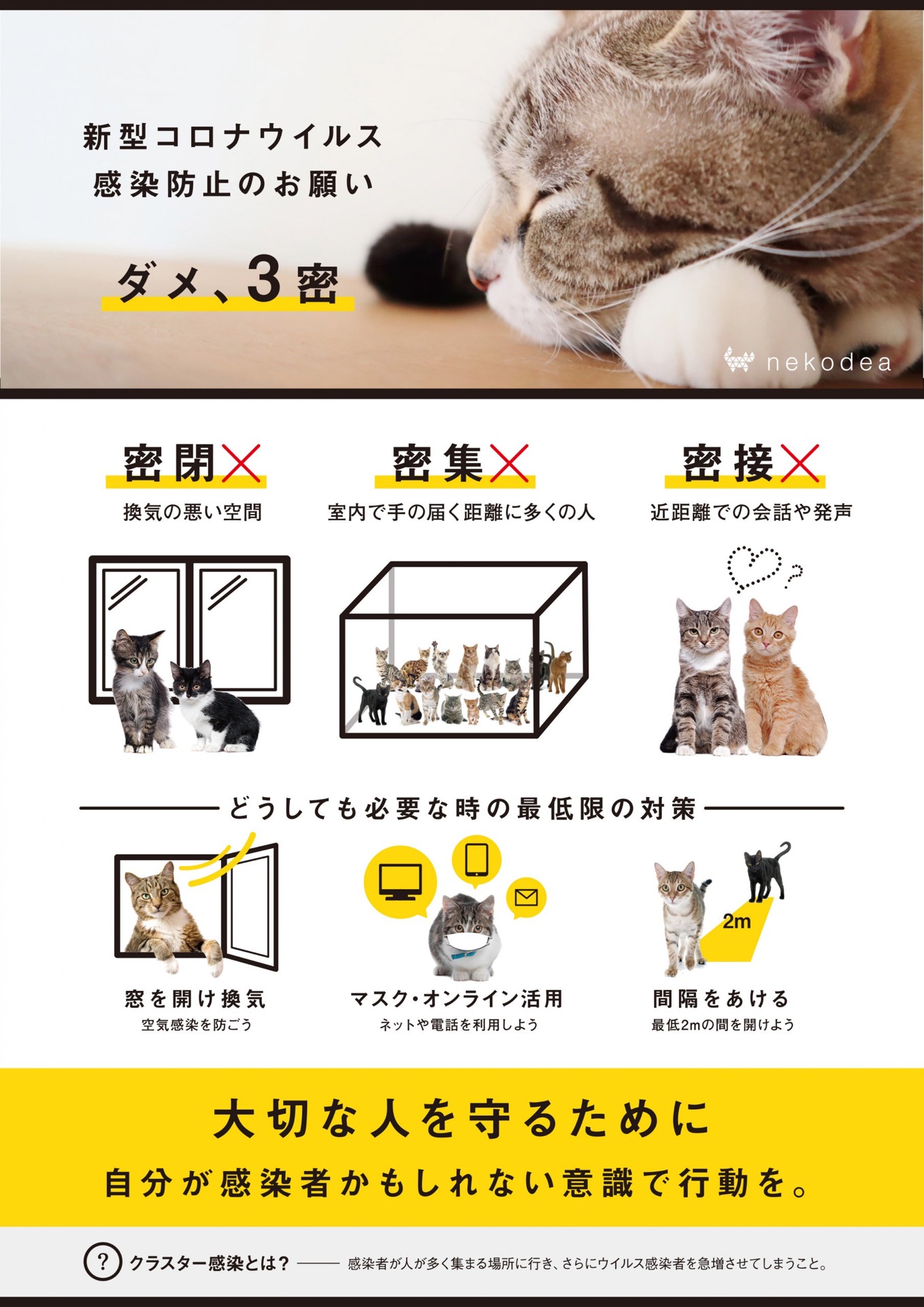 3密 防止の啓発ポスター 猫バージョンを有志が作成 ニコニコニュース