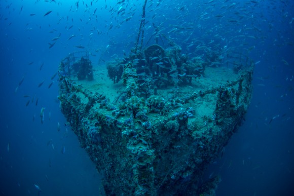 新種の生物に秘密基地 難破船にピラミッドなど 世界の海底に隠された10のミステリー ニコニコニュース