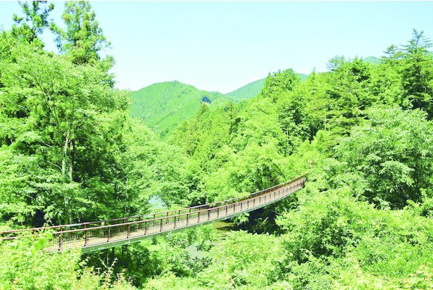 行ったつもり絶景 緑が美しい 都内近郊の山景色best3 ニコニコニュース