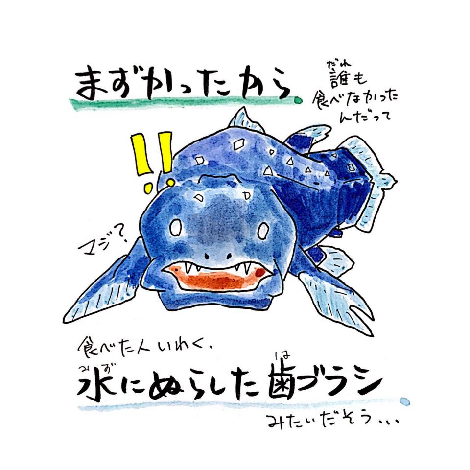 マズすぎて誰も食べなかった シーラカンスが 絶滅しなかった理由 解説したイラストが話題 ニコニコニュース