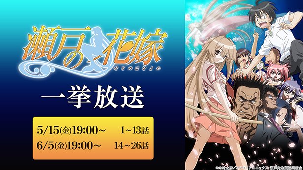 任侠と書いてにんぎょと読むきん 5月25日 6月5日にニコニコ生放送で 瀬戸の花嫁 全話無料配信が決定 ニコニコニュース