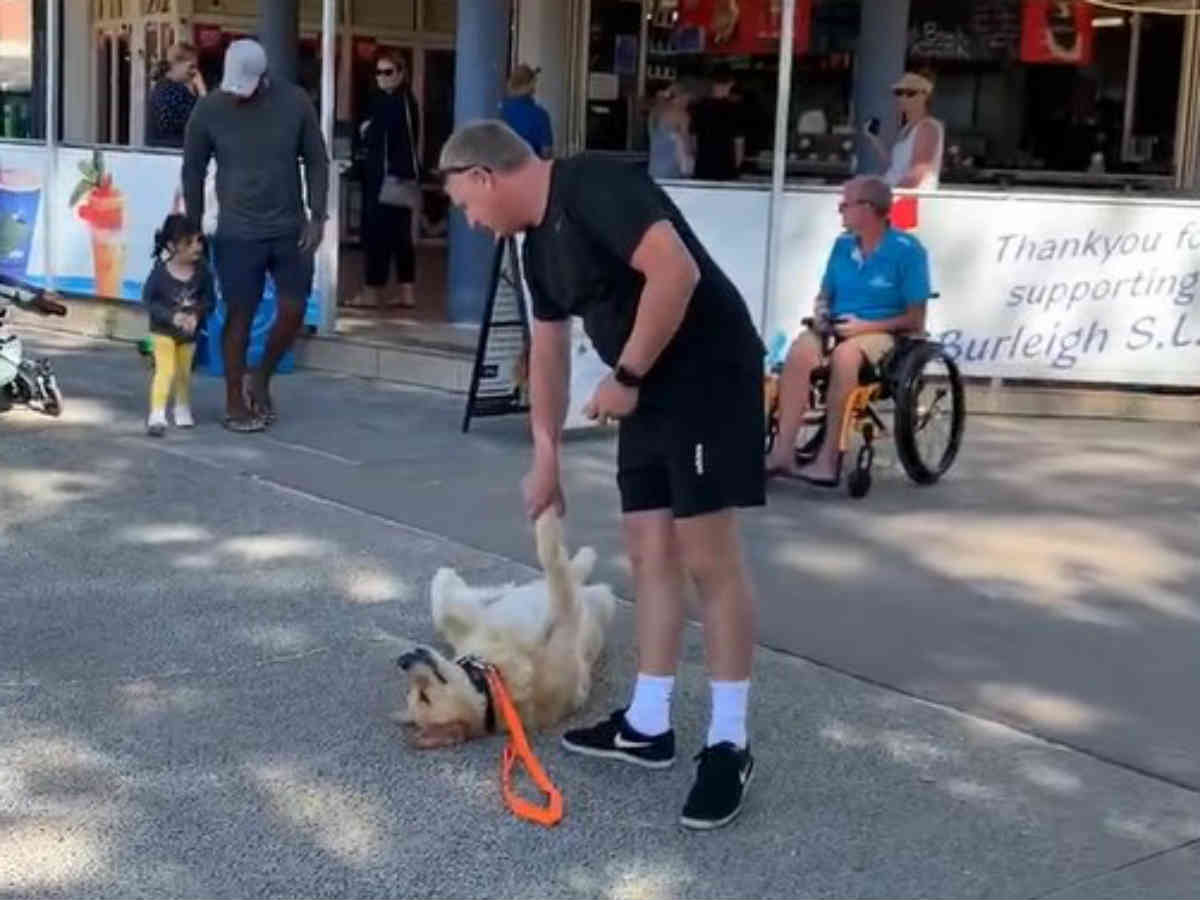 まるでコント 家に帰りたい飼い主とまだ帰りたくない犬の攻防戦に大笑い ニコニコニュース