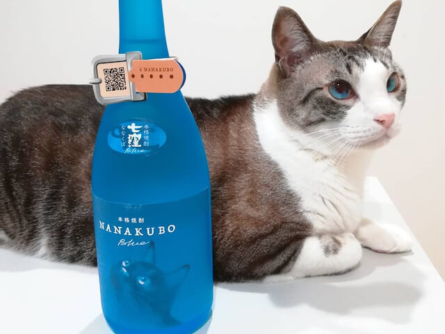 酒瓶が似合う猫は誰ですかニャ 猫ラベルの芋焼酎がフォトコンテストの入賞作品を発表 ニコニコニュース