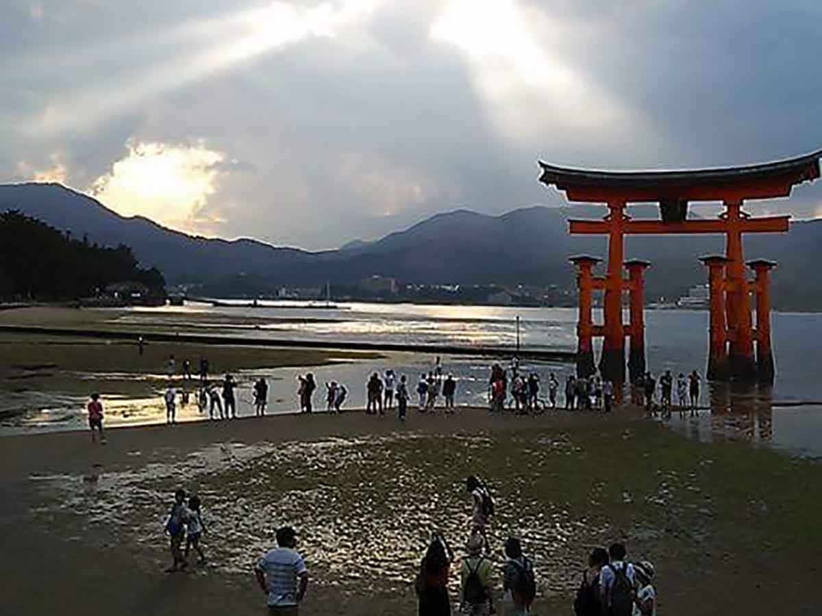 世界遺産厳島神社の大鳥居に羽ばたく鳳凰の姿に感動の嵐 ニコニコニュース