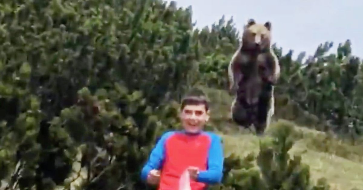 緊迫 家族でハイキングをしていた少年に巨大なヒグマが付いてきてしまい話題に Youtubeが少年を救う ニコニコニュース