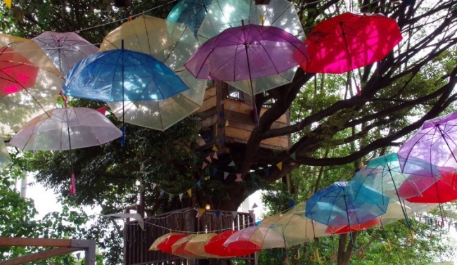 千葉市都市文化賞グランプリ受賞 ツリーハウスのある森カフェ 椿森コムナ 今年も開催 天空を虹色に彩る0本の傘 L ニコニコニュース