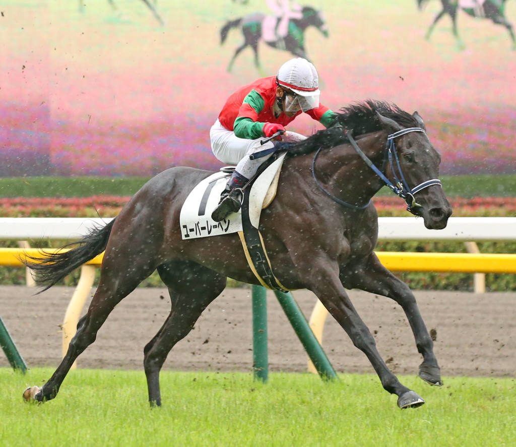 バレリオがオリオンsを危なげない走りで押し切って4勝目 競馬ニュース Tv