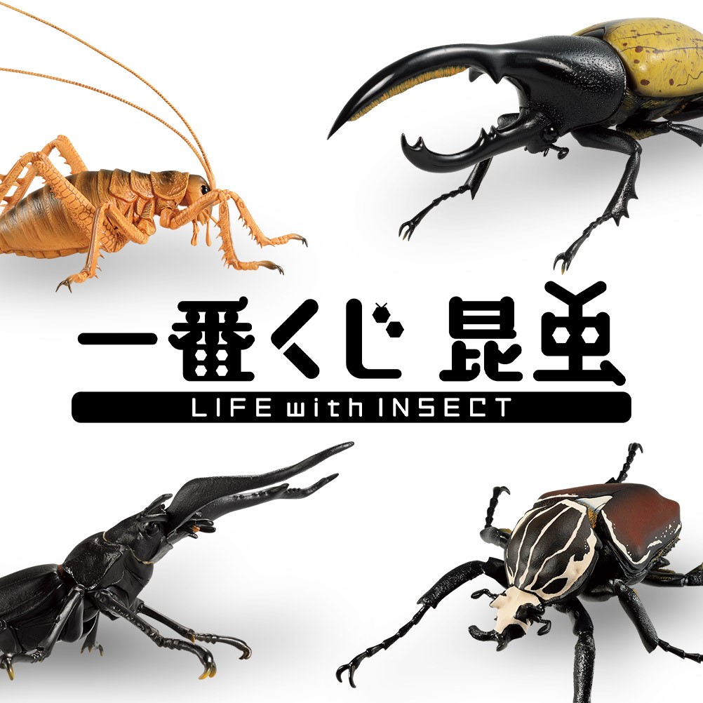ヘラクレスオオカブトなどの原寸サイズフィギュアも 一番くじ 昆虫 Life With Insect ニコニコニュース