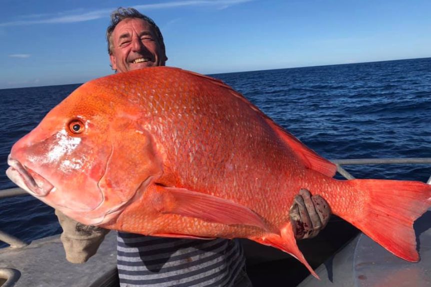 赤くて大きい 全長104センチ 体重22キロの巨大魚が釣り上げられる オーストラリア ニコニコニュース