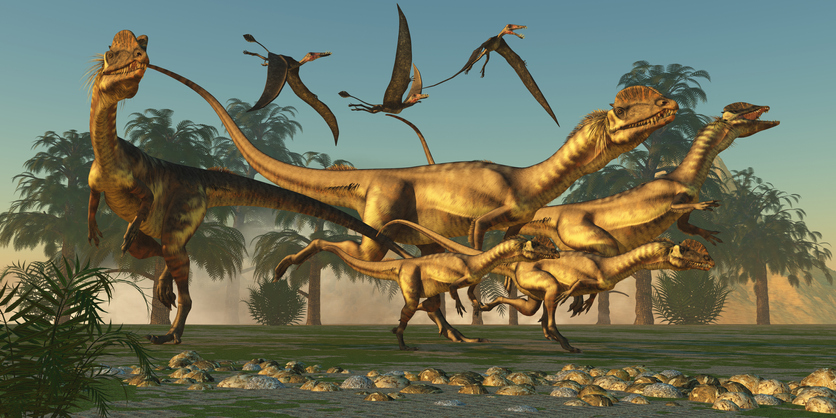 ジュラシック パークで有名になった恐竜 ディロフォサウルス はトカゲより鳥に近い 米研究 ニコニコニュース