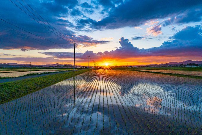 新海誠の世界にしか見えない 息をのむほど美しい田園の夕暮れがこちら ニコニコニュース