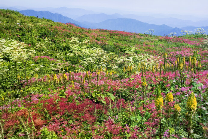 山頂の絶景を楽しもう 日帰りで登れる夏の山 関西編 ニコニコニュース