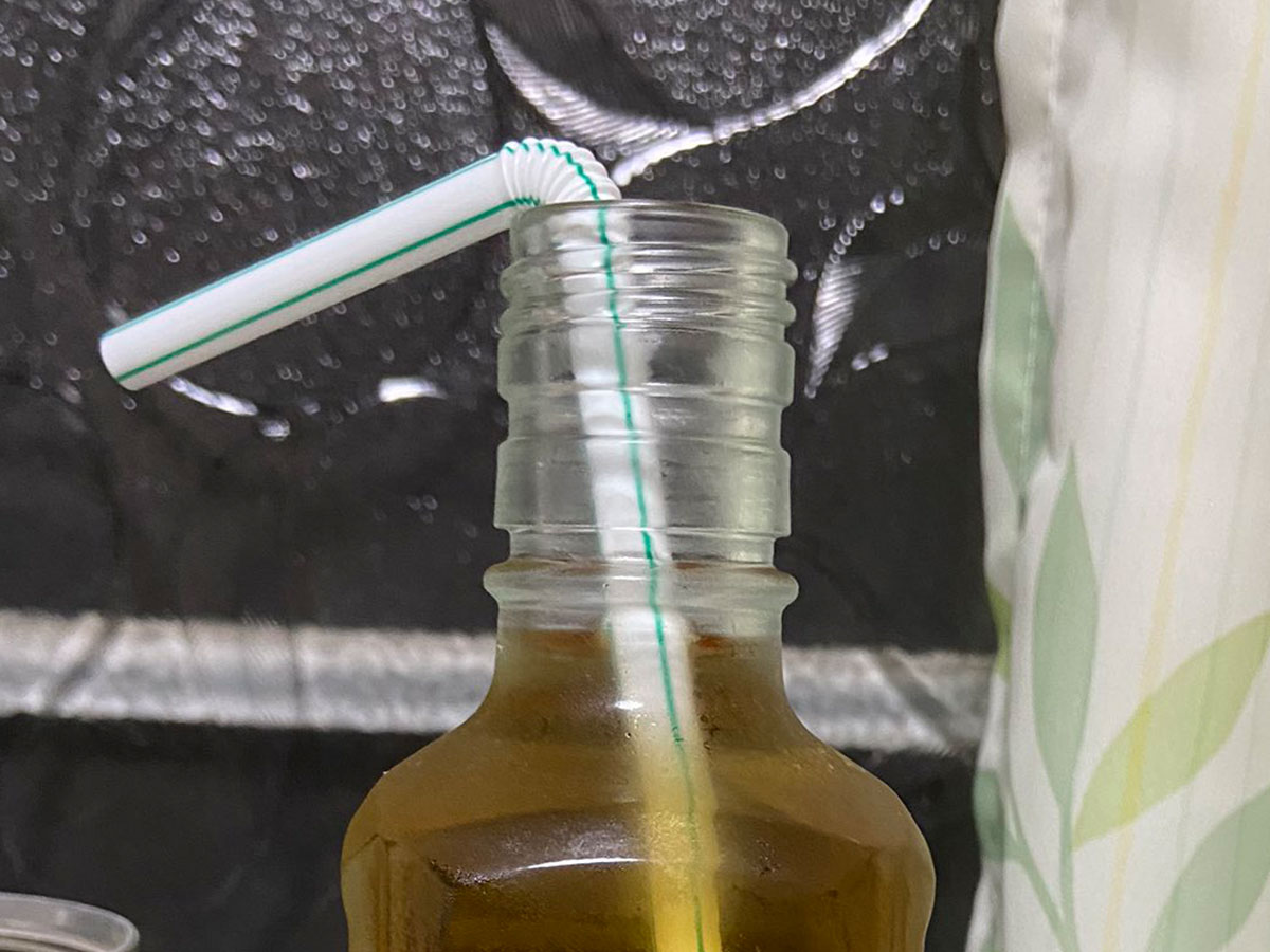 はこぽす対応商品 サントリー 伊右衛門 お茶 どうぞ 冷温兼用 緑茶 195ml 1箱 30本入 オリジナル Materialworldblog Com