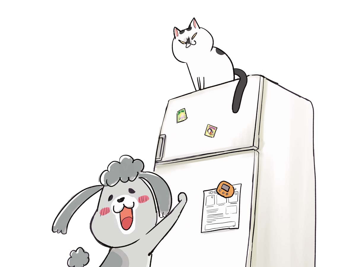 犬と猫どっちも飼ってると 松本ひで吉先生が Grape Award 審査員に決定 ニコニコニュース