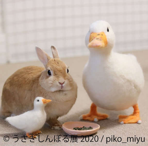可愛いうさぎ大集合 秋の祭典 うさぎしんぼる展 ニコニコニュース