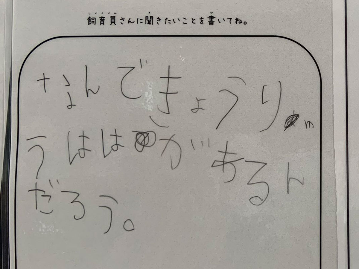 園では飼育していない恐竜について質問された飼育員 その回答とは ニコニコニュース