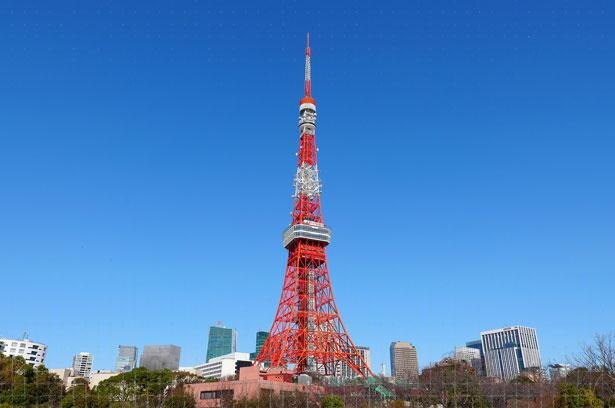 コロナ対策情報付き 東京タワーの魅力を徹底解説 楽しみ方から人気のお土産 グルメまで丸わかり ニコニコニュース