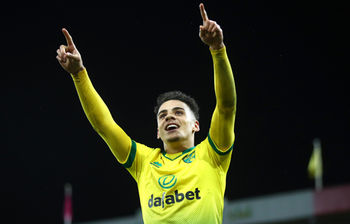 積極補強のニューカッスル リバプール移籍破談のノリッジdfジャマル ルイスを獲得 ニコニコニュース