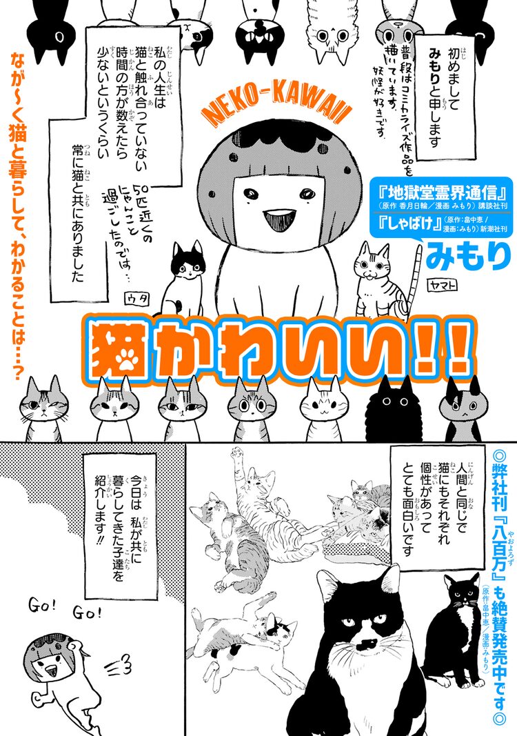 人生が常に猫とともにあったみもりが 猫かわいい を叫ぶ読み切り ニコニコニュース