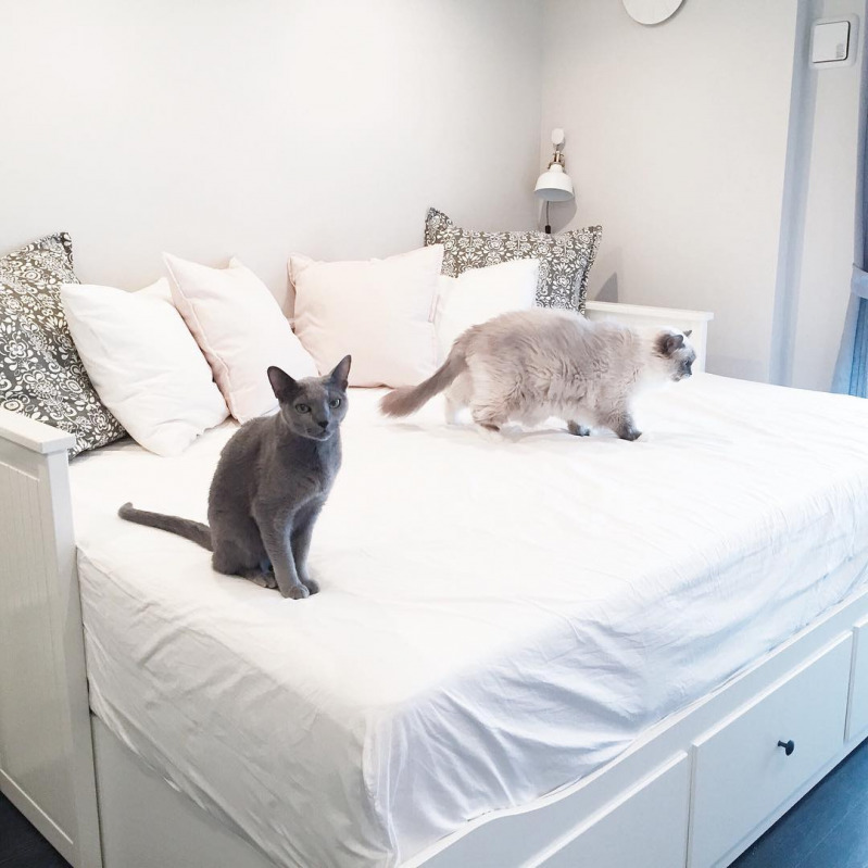 ソファーベッドならikeaにお任せ 圧倒的に種類豊富でイイもの見つかる ニコニコニュース