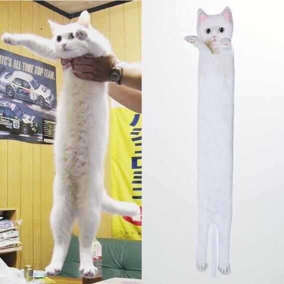 のびーるたん Longcat コラ画像で世界的人気 胴が長すぎる猫 シロ 天国へ ニコニコニュース