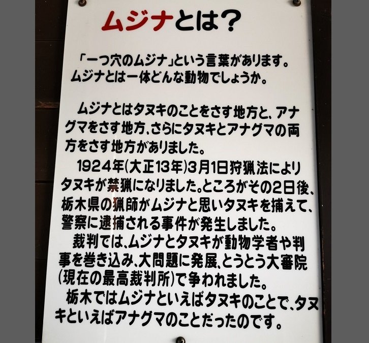 この動物はタヌキ ムジナ 法学部生なら思わず反応してしまう動物園の掲示がこちら ニコニコニュース