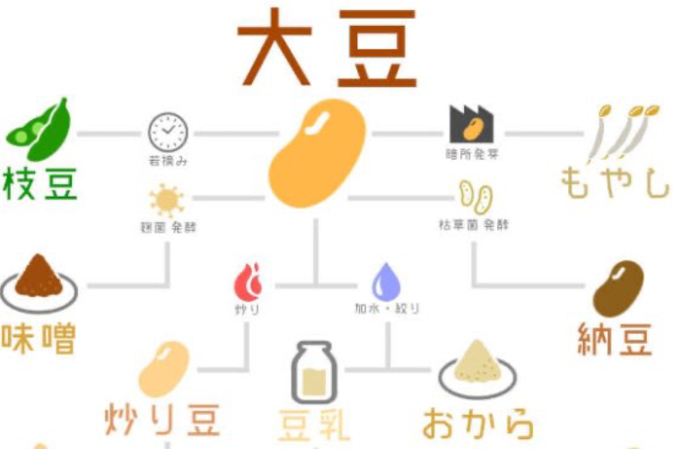 これぞまさしく豆知識 大豆からできるものをまとめたイラストチャートが分かりやすい ニコニコニュース