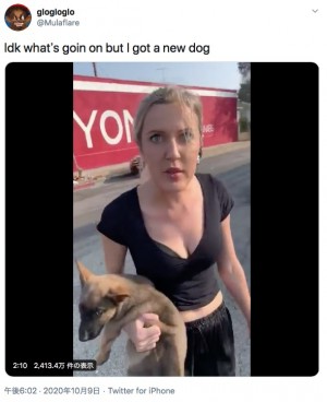 黒人男性に差別発言した白人女性 抱いていた子犬を投げつける 米 動画あり ニコニコニュース