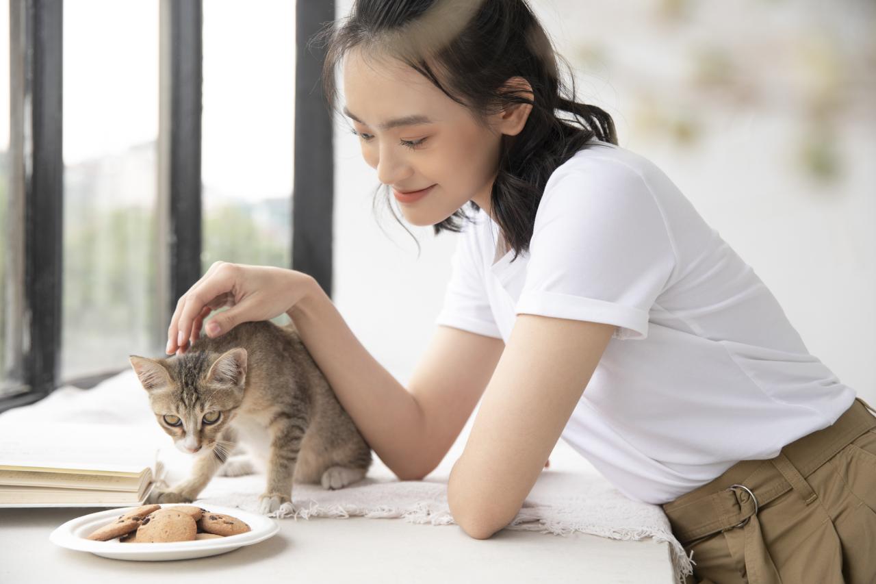 ダイソー ペット用品も充実 楽しく便利な 猫のお世話グッズ 5選 ニコニコニュース