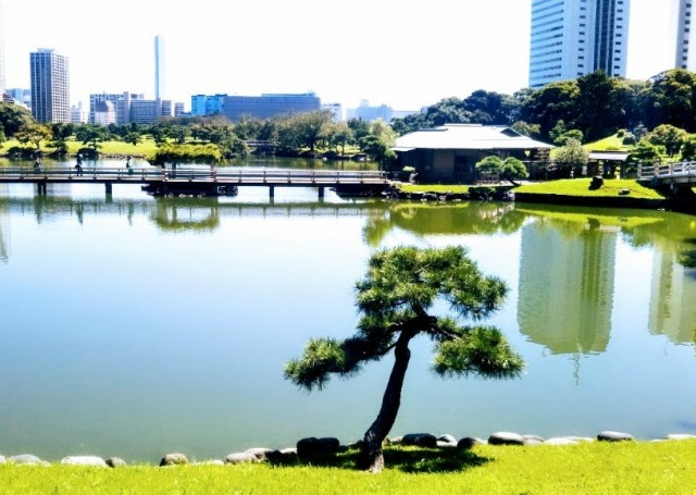 東京さんぽ ビルの中の自然散策 都心の空中遊歩 竹芝 浜松町の朝をゆるりめぐる ニコニコニュース