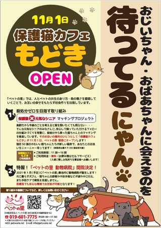 年11月1日 保護猫カフェもどき 岩手県滝沢市一般財団法人ペットの里内にオープン ニコニコニュース