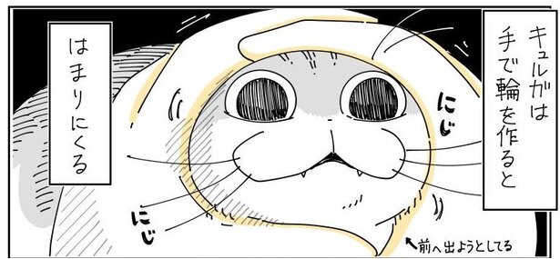 猫好きが うん うん と頷く 猫あるある漫画 がsnsで人気 これ 読んだら止まらんやつや ニコニコニュース