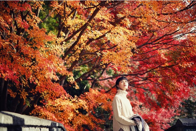 神戸の紅葉の名所 布引の紅葉 間もなく見ごろに 神戸布引ハーブ園では約500本のモミジ 約100本のヤマザクラなど 秋 ニコニコニュース