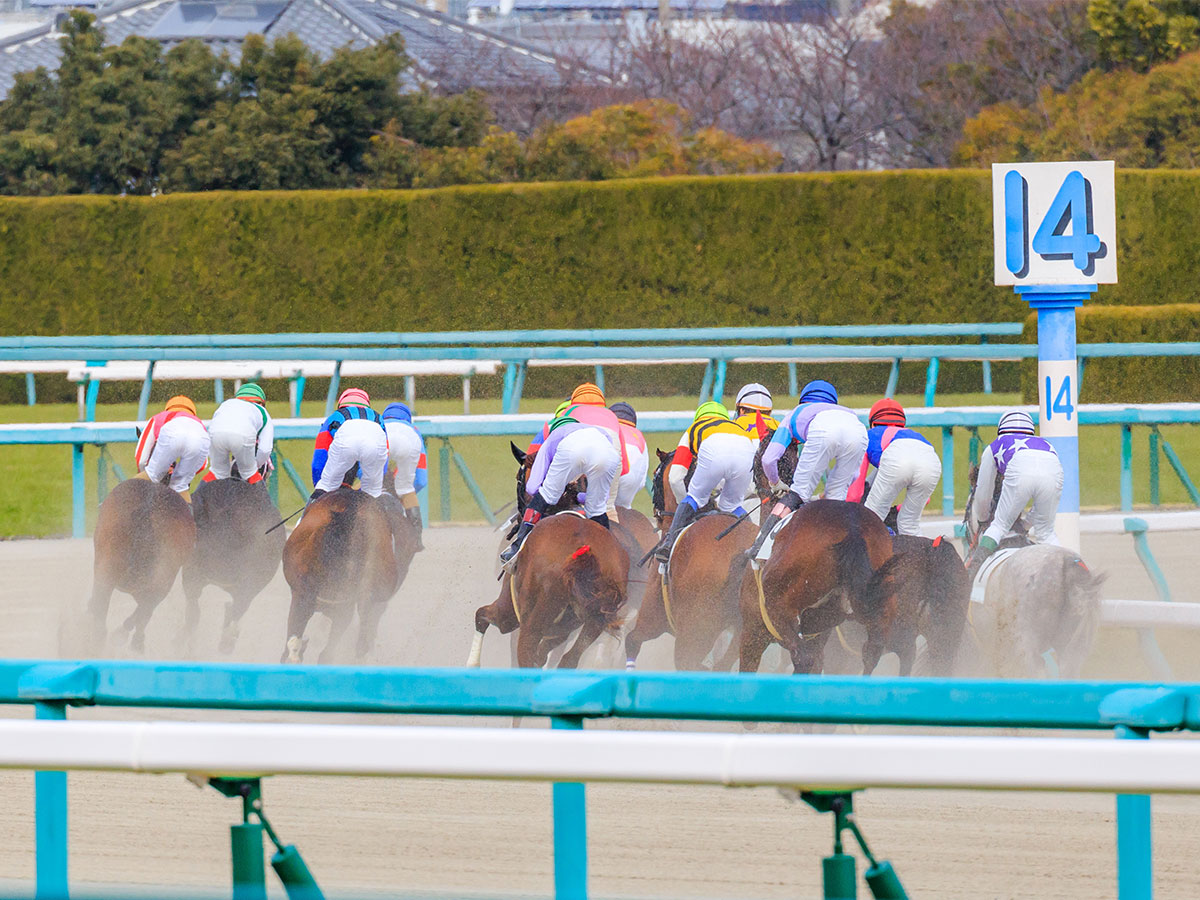 １着になった競走馬の 珍名 にネット上がざわつく事態に そのワケとは ニコニコニュース