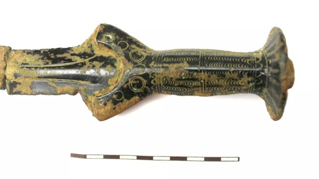 キノコ狩りに行ったら剣が生えてた 3300年前の貴重な青銅器時代の剣が発見される ニコニコニュース