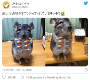 飲んでね お薬を持って見つめるチンチラに癒やされる ニコニコニュース