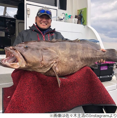釣り人 大魔神 佐々木 35kgの巨大クエ一本釣り ニコニコニュース