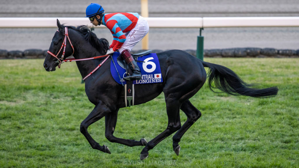 ジャパンc 福永 アーモンドアイは強かった レース後ジョッキーコメント ニコニコニュース