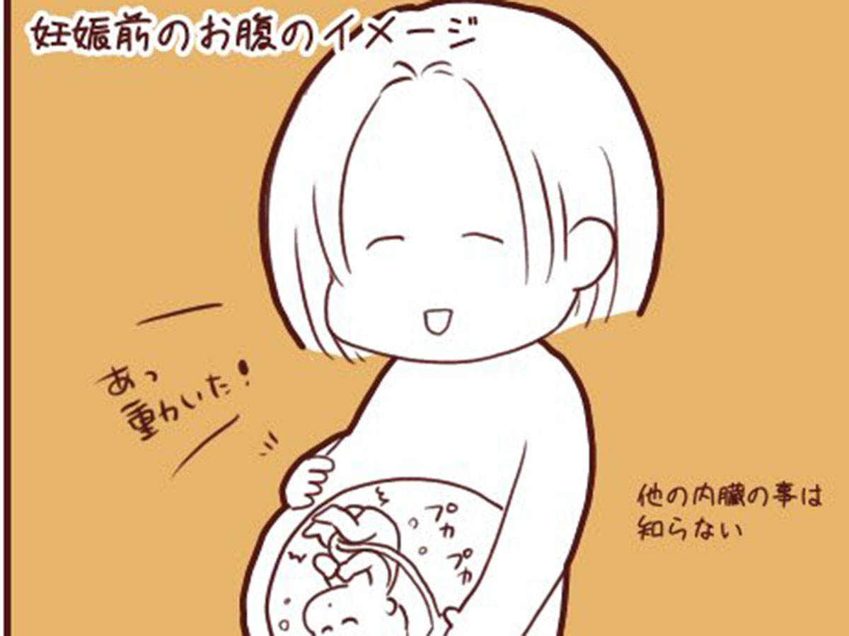 妊娠前と後の比較イラストに反響 こんなにすごいことが起こっていたとは ニコニコニュース