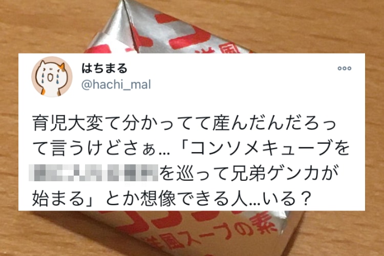 コンソメキューブを巡って兄弟ゲンカが勃発 想像できなかった子育ての大変さに あるある の声 ニコニコニュース