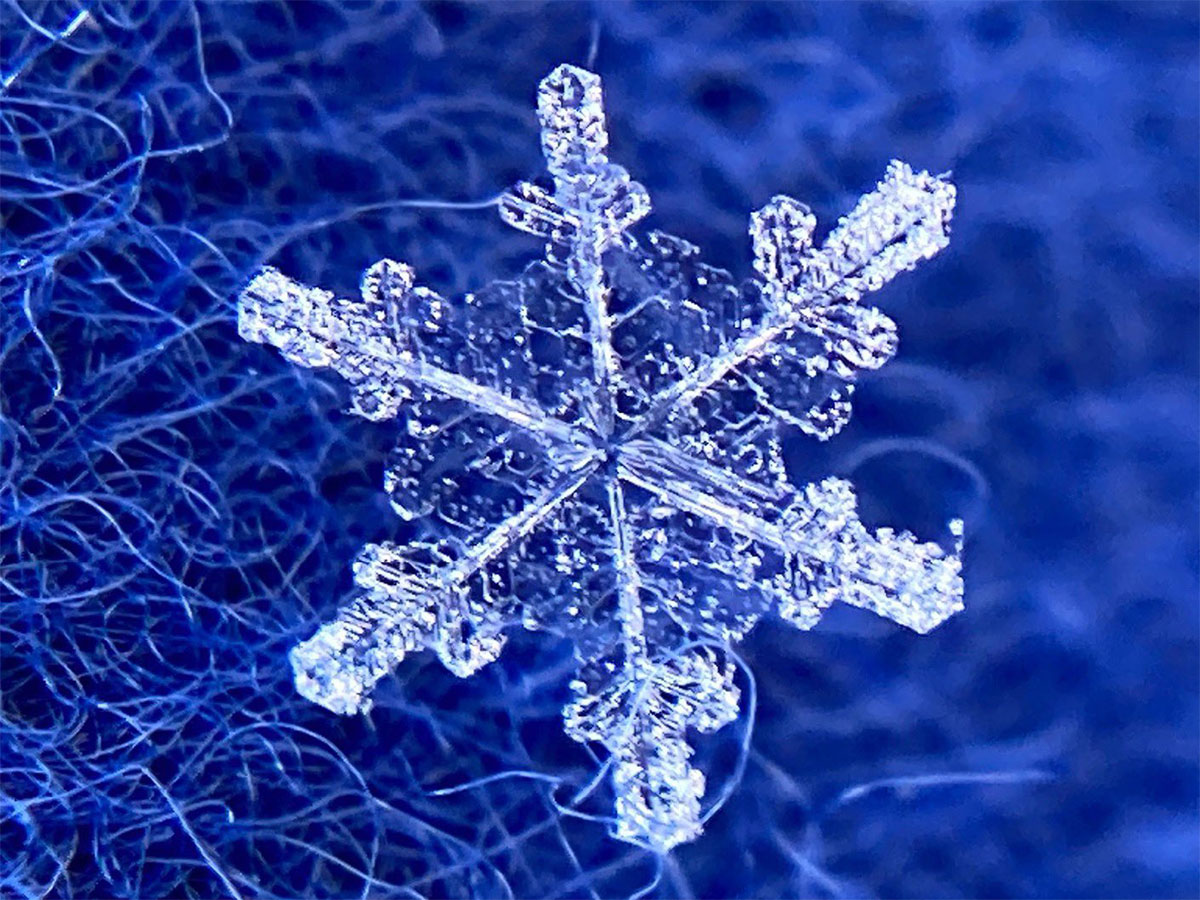 雪の結晶 をスマホで撮るには 気象学者の投稿が話題 コレはやってみたい ニコニコニュース