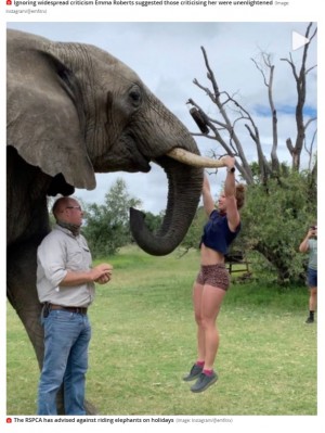 ゾウの牙で懸垂した女性 非難殺到も 動物虐待だとは思わない 南ア ニコニコニュース