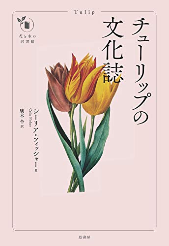 美 富 名誉 人間はチューリップに何を見てきたか 知られざる 花の物語 ニコニコニュース