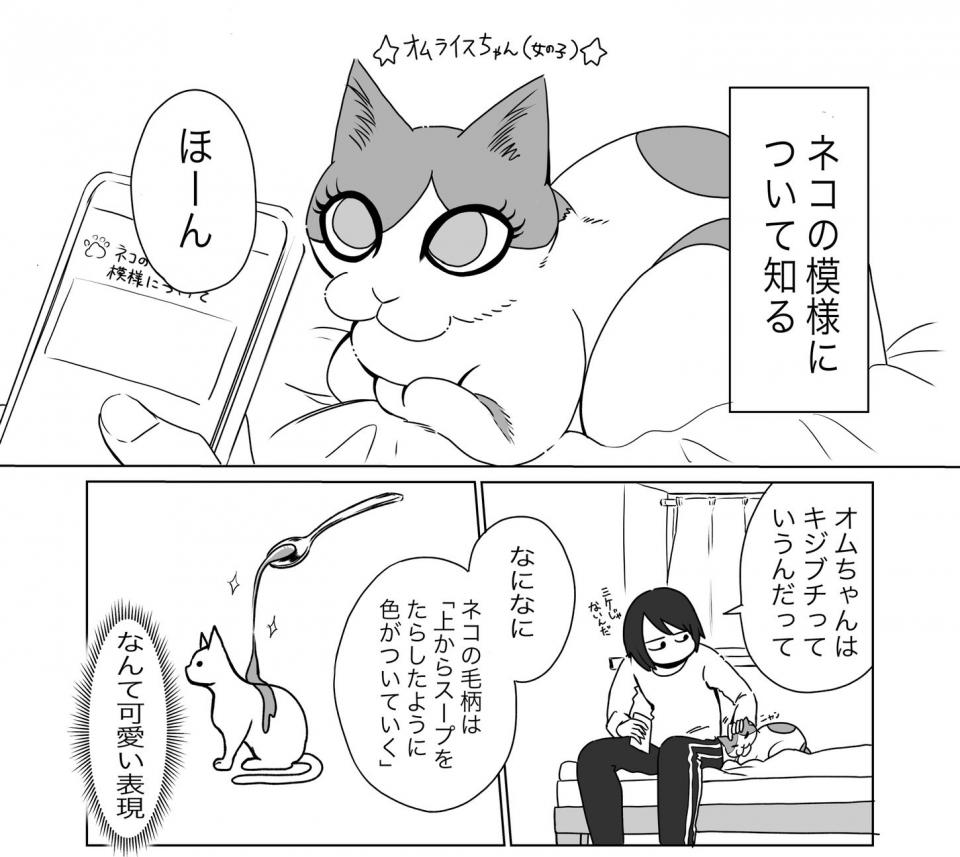 ニャンコの模様はどうやって決まるの とある猫飼いが妄想した 生まれてくる前の話 に 尊い 最高すぎ ニコニコニュース