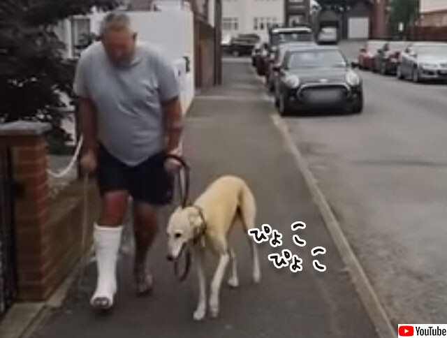 犬ってやつぁ 涙 飼い主が骨折後 足を引きずって歩くようになった犬 飼い主の痛みに共感していた ニコニコニュース