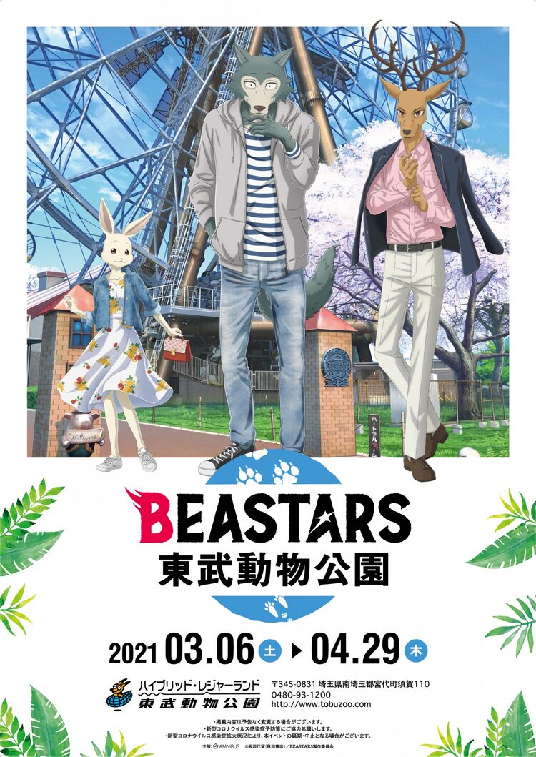 Beastars 東武動物公園コラボ第3弾 レゴシ ルイ ハルが春の園を訪問 ニコニコニュース