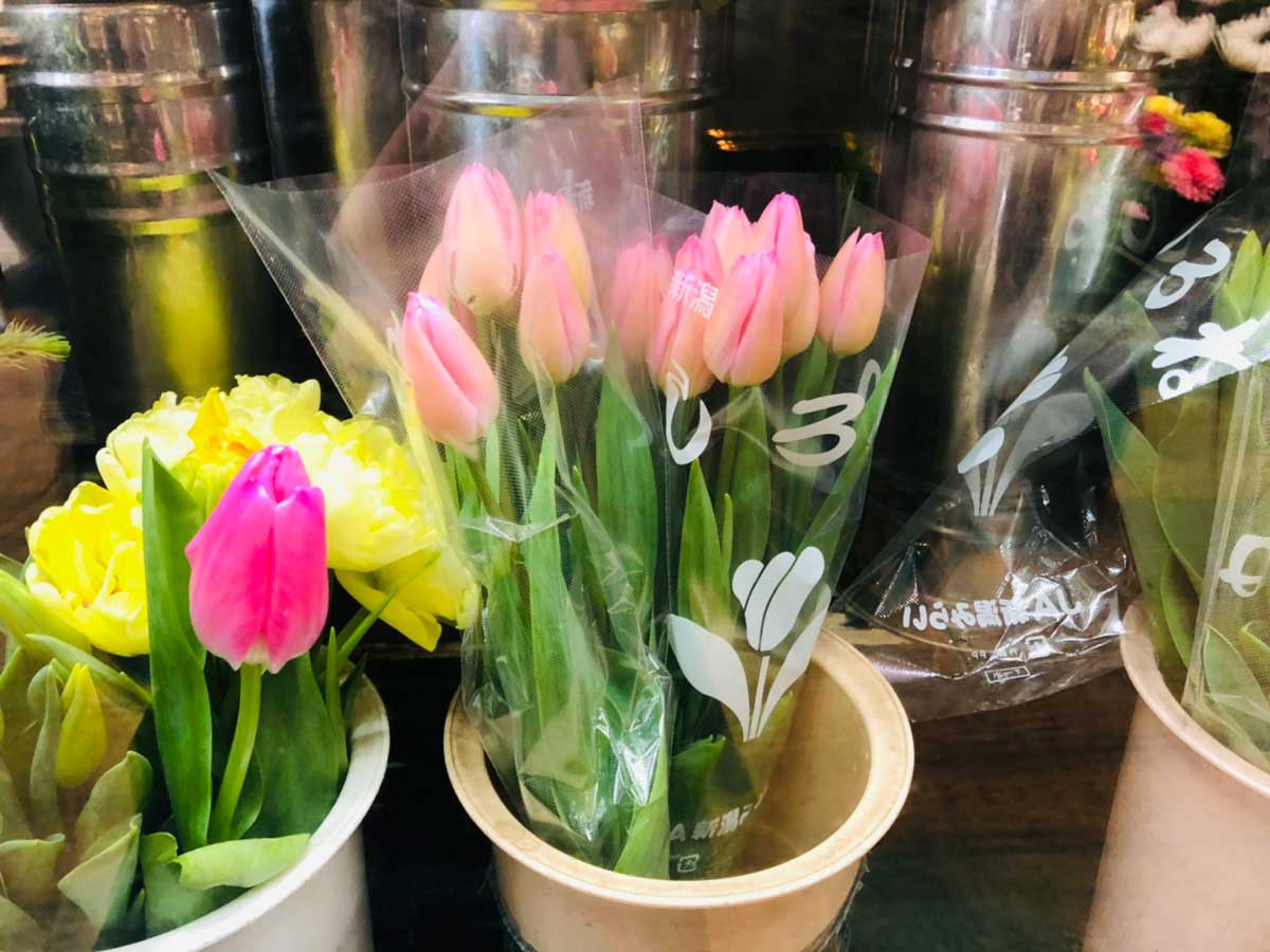 自宅で切り花を楽しむには プロから聞いた 育て方のコツ が ためになる ニコニコニュース